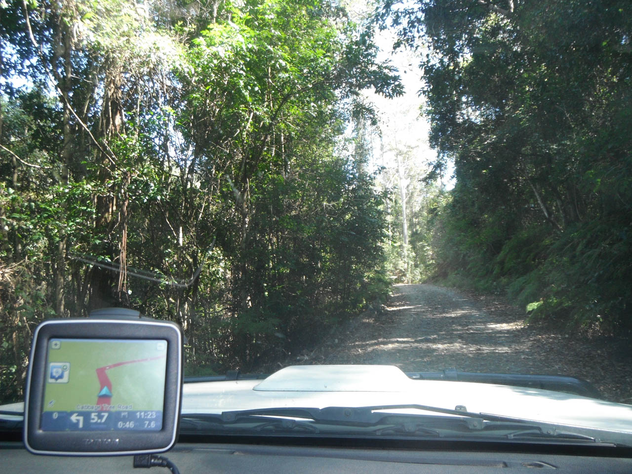 Cabbage Tree Road